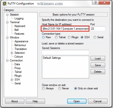 Paste EC2 instance Host name